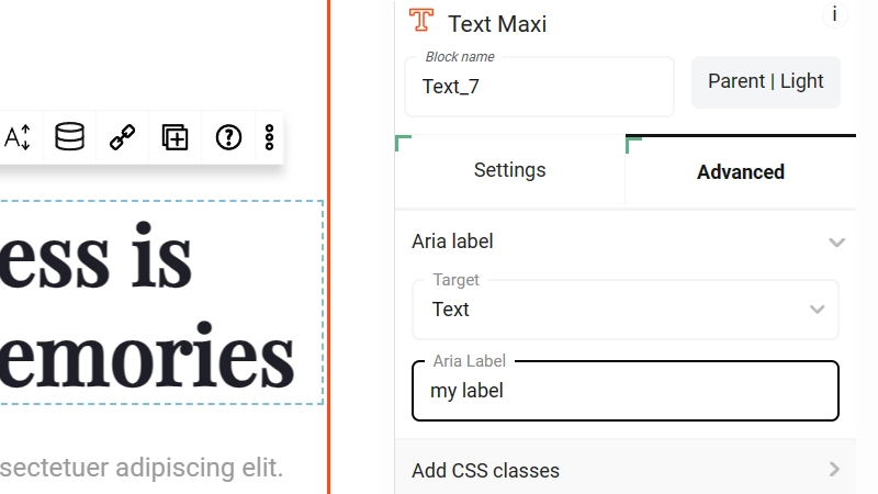 Accessibility with ARIA Labels in MaxiBlocks