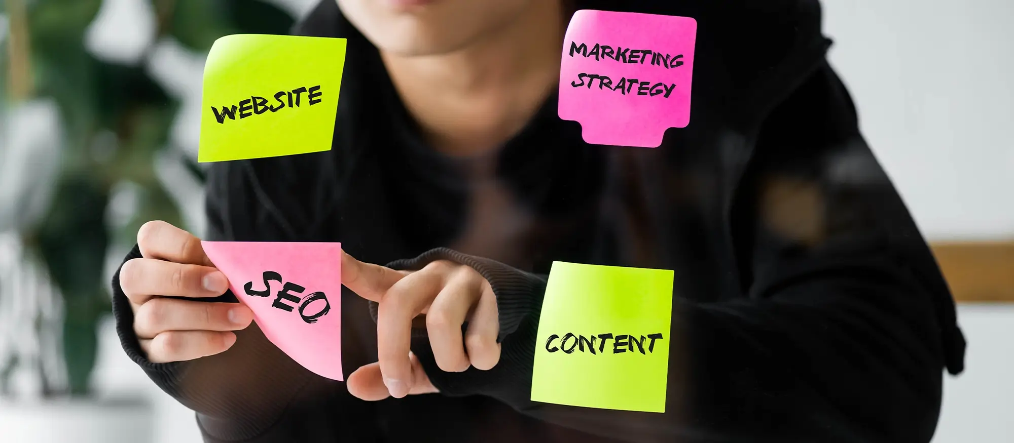 Beginner's guide to using WordPress 8 No content found