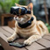Love 14 CatCyborg