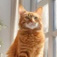 Love 16 OrangeCat