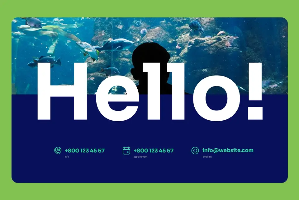 WordPress Business contact page starter site